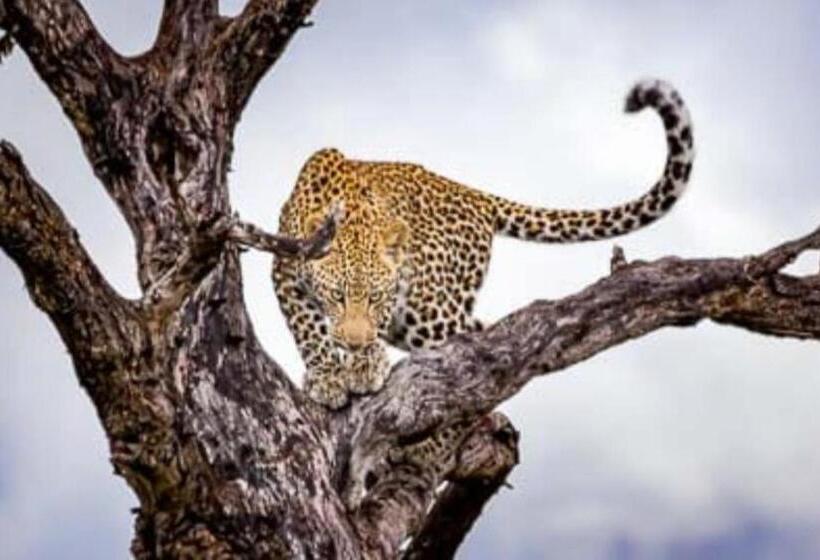 Шале 1 Спальня, Unit P09/15 Dec @sanbonani Resort & Spa