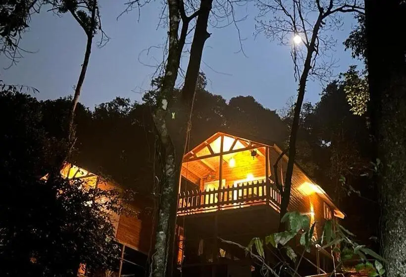 Standard Kolmen Hengen Huone Puutarhanäkymä, Coorg Jungle Mist