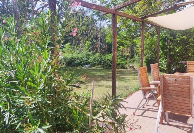 شقة غرفة واحدة مزودة بتراس, Camping Le Marche Apartments