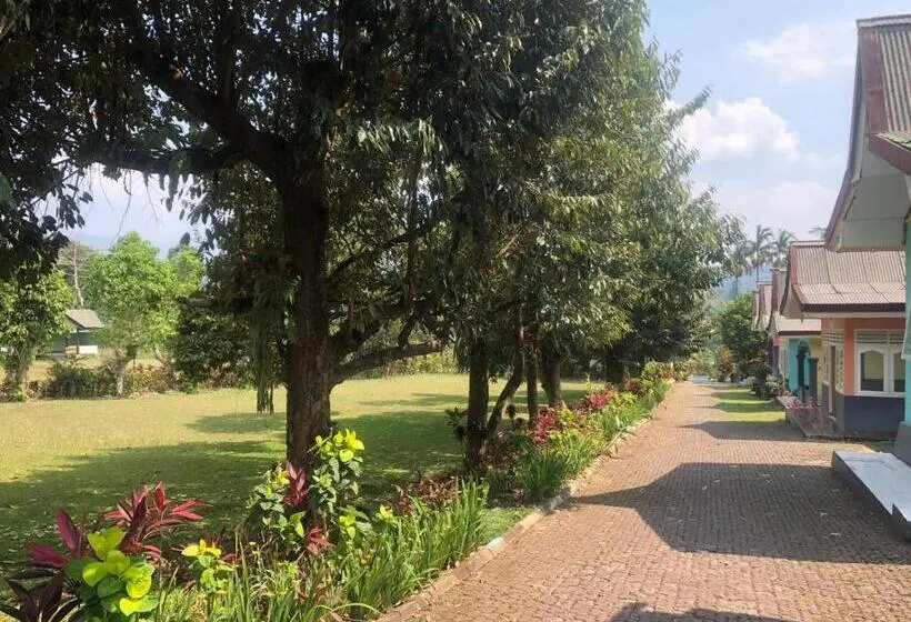 Deluxe-huone, Gardena Resort