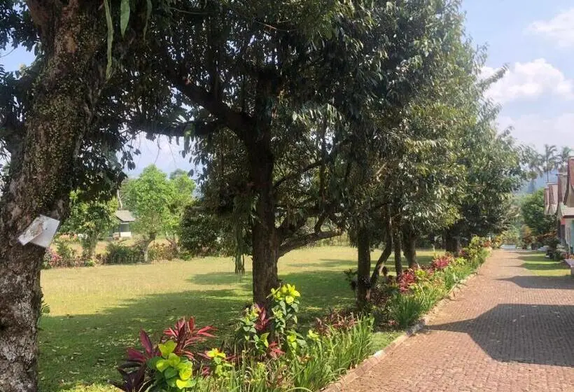 Deluxe-huone, Gardena Resort