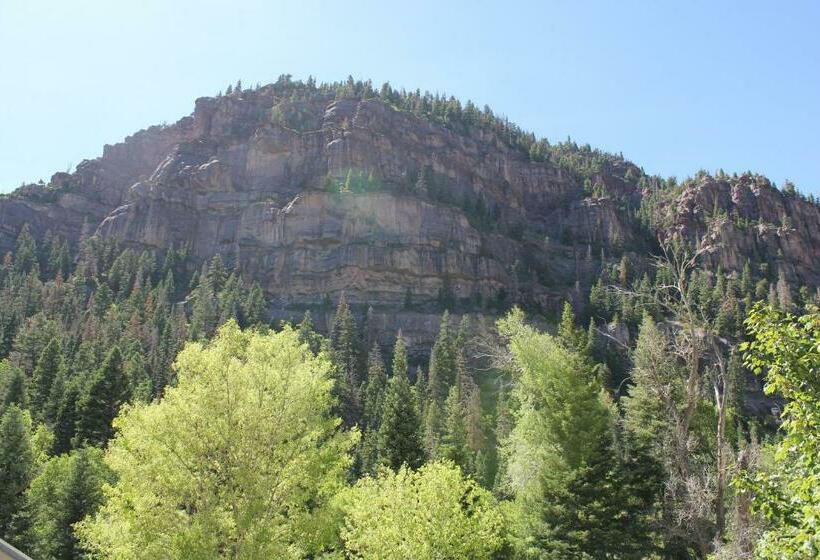 キングサイズベッドのスタンダードルーム, Black Bear Manor