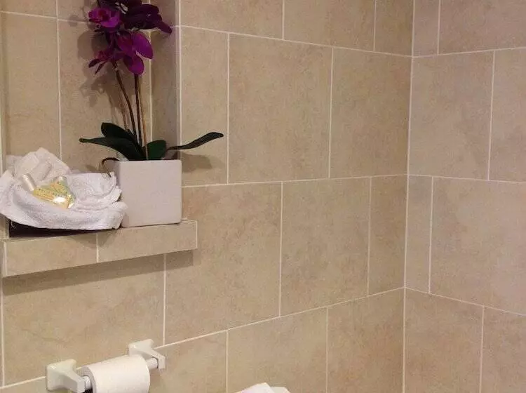 Standard-huone Parivuode, Crystal Beach Motor Inn