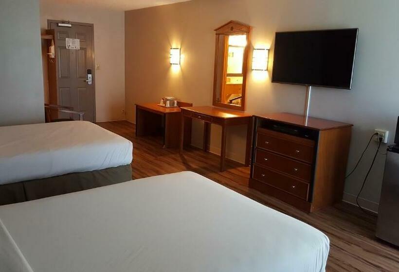 ２ダブルベッドのスタンダードルーム, Crystal Inn  Neptune