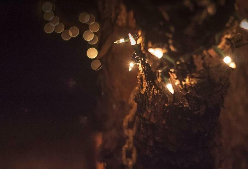 스탠다드 방갈로, Katie's Cozy Cabins