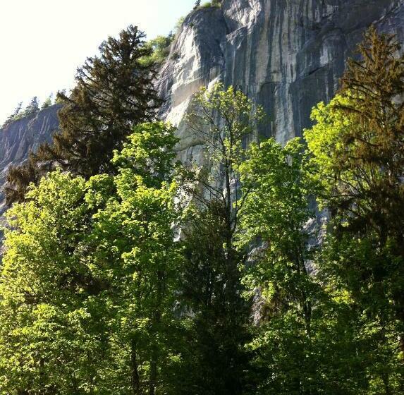 スタンダードシングルルーム, Pension Köberl