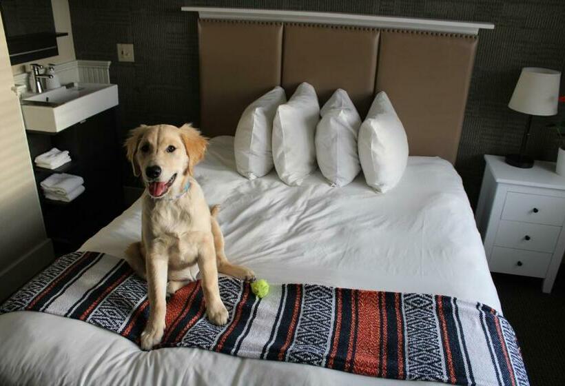 스탠다드 룸, Pilgrim House