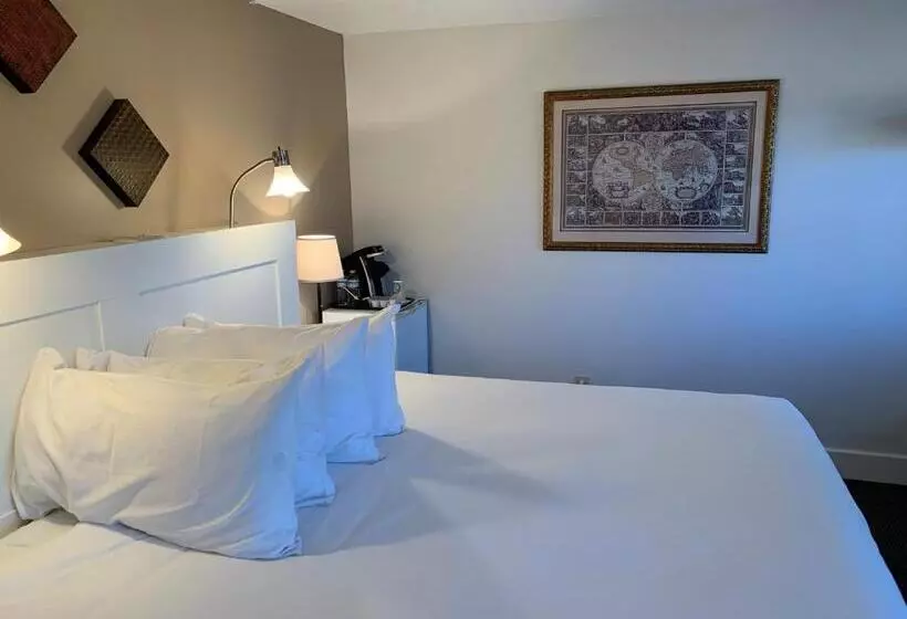 اتاق استاندارد با تخت بزرگ, Pilgrim House