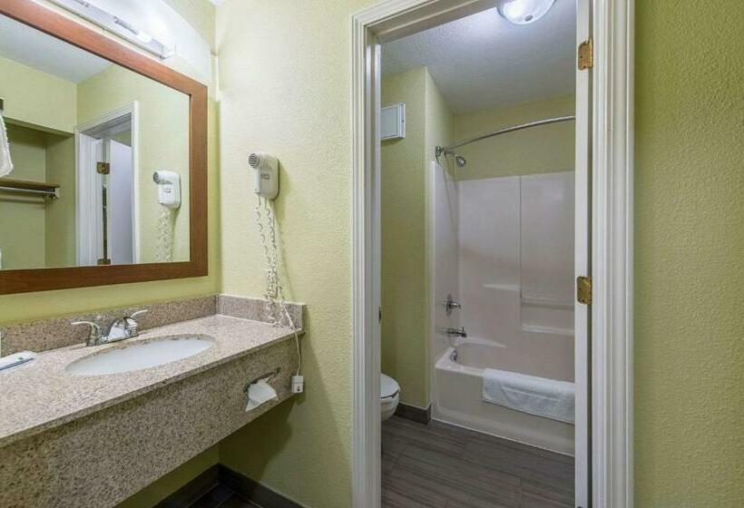 Номер Стандарт, Quality Inn & Suites University Area