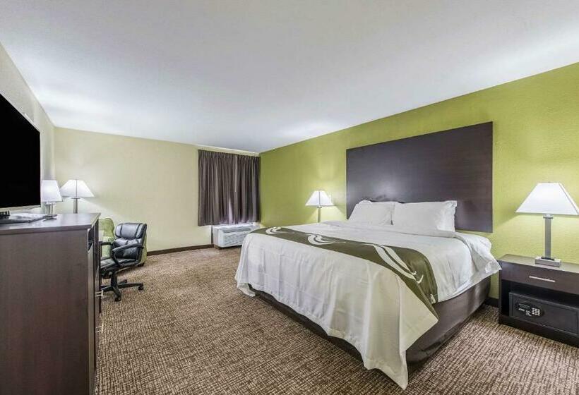 Номер Стандарт Кровать Кинг Адаптированный для Инвалидов, Quality Inn & Suites University Area