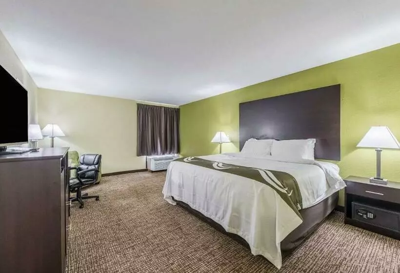身障者適用キングサイズベッドルーム, Quality Inn & Suites University Area