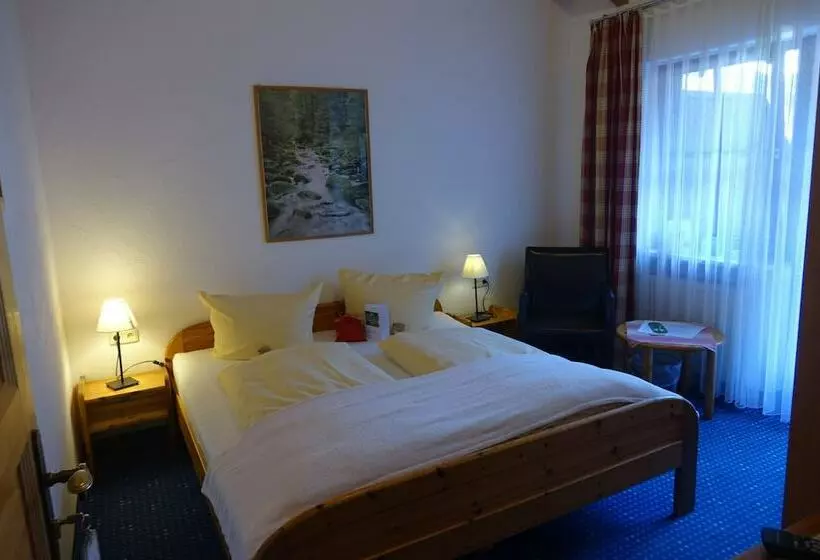 Standard-huone, Gasthof Im Wiesengrund