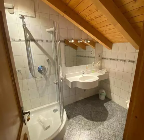 コンフォートシングルルーム, Kur  Und Ferienhotel Haser