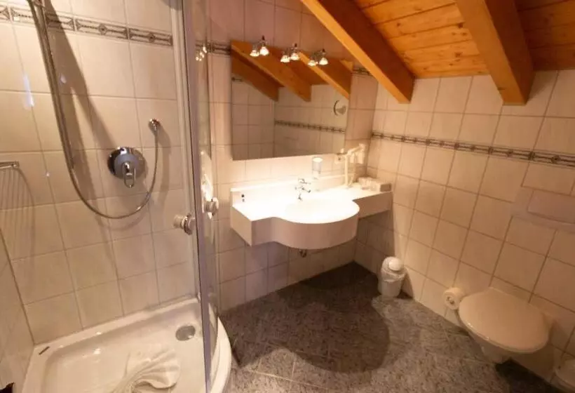コンフォートシングルルーム, Kur  Und Ferienhotel Haser