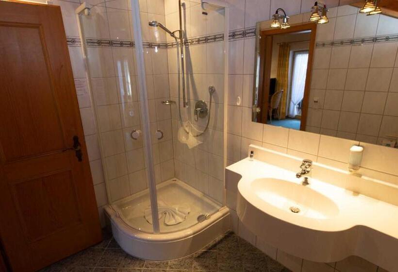 חדר קומפורט יחיד, Kur  Und Ferienhotel Haser