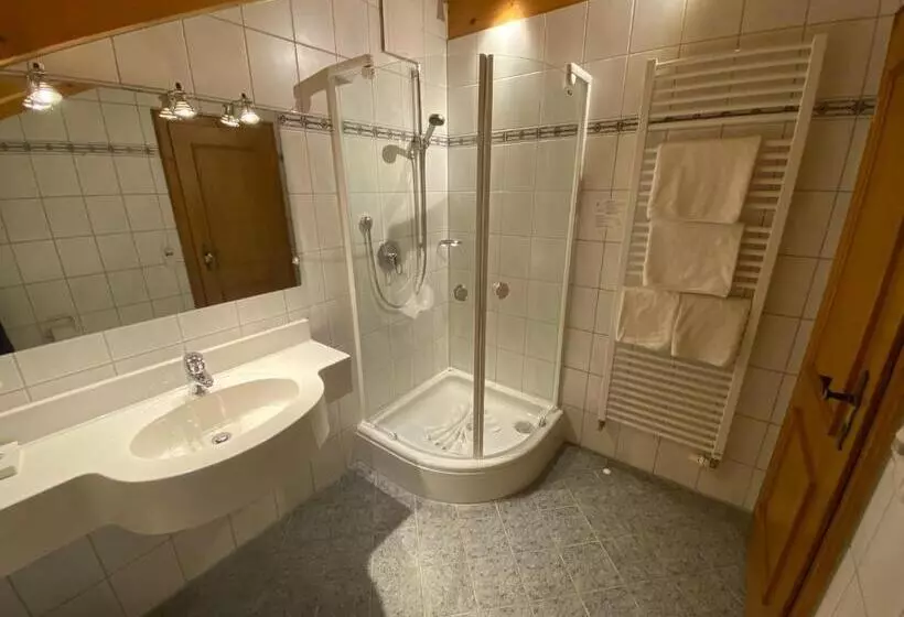 スタンダードルーム, Kur  Und Ferienhotel Haser
