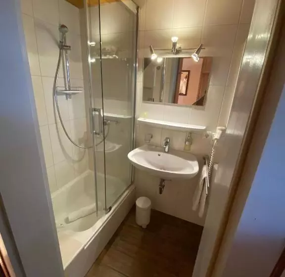 バルコニー付きシングルスタンダードルーム, Kur  Und Ferienhotel Haser
