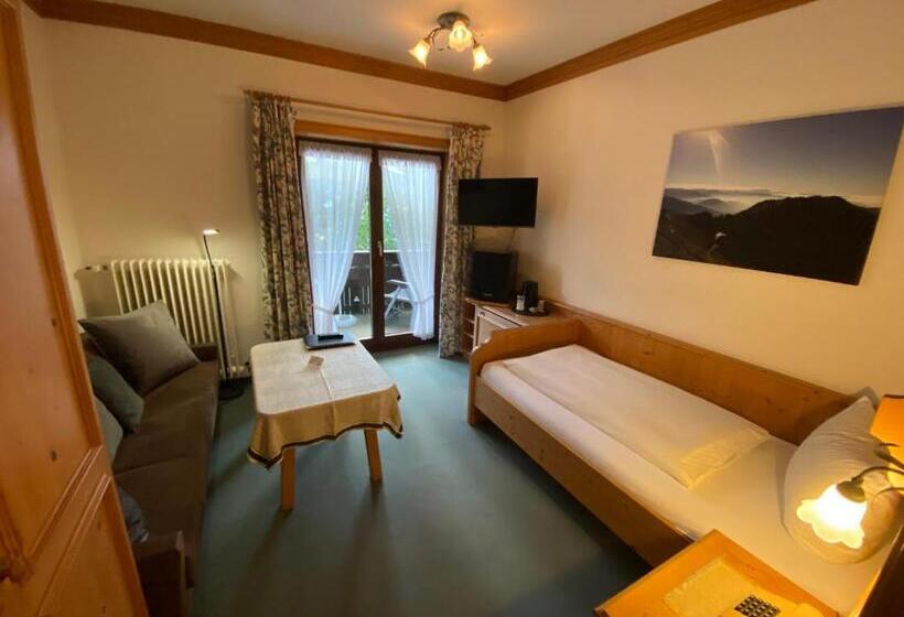 חדר סטנדרט יחיד עם מרפסת, Kur  Und Ferienhotel Haser