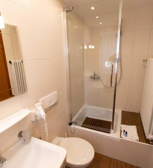 Номер Стандарт Трехместный, Kur  Und Ferienhotel Haser