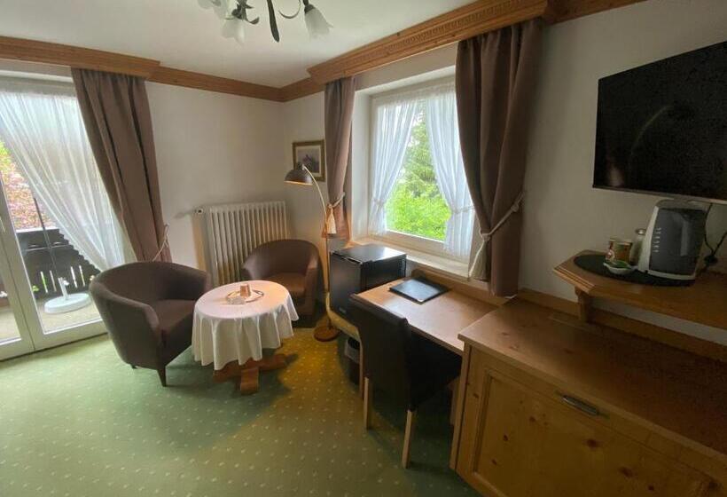 חדר סטנדרט, Kur  Und Ferienhotel Haser