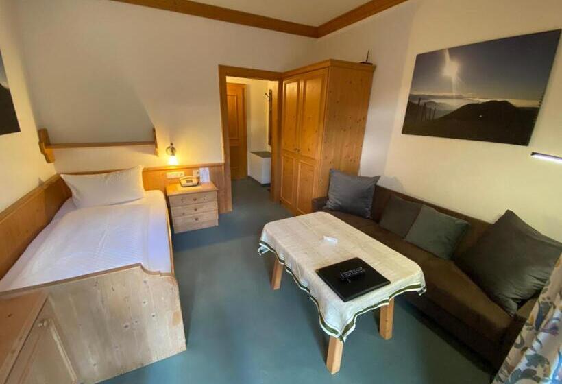 חדר סטנדרט יחיד עם מרפסת, Kur  Und Ferienhotel Haser