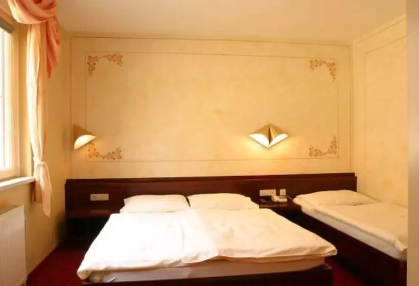 スタンダードシングルルーム, Kuschelhotel Zeman