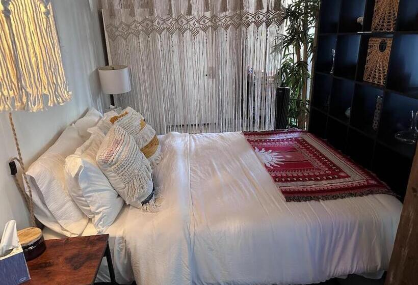 جناح عائلي, The Sunburst Oasis