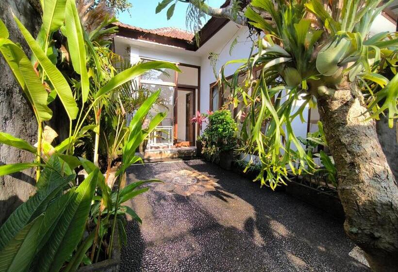 חדר סטנדרט עם טרסה, White Lotus House