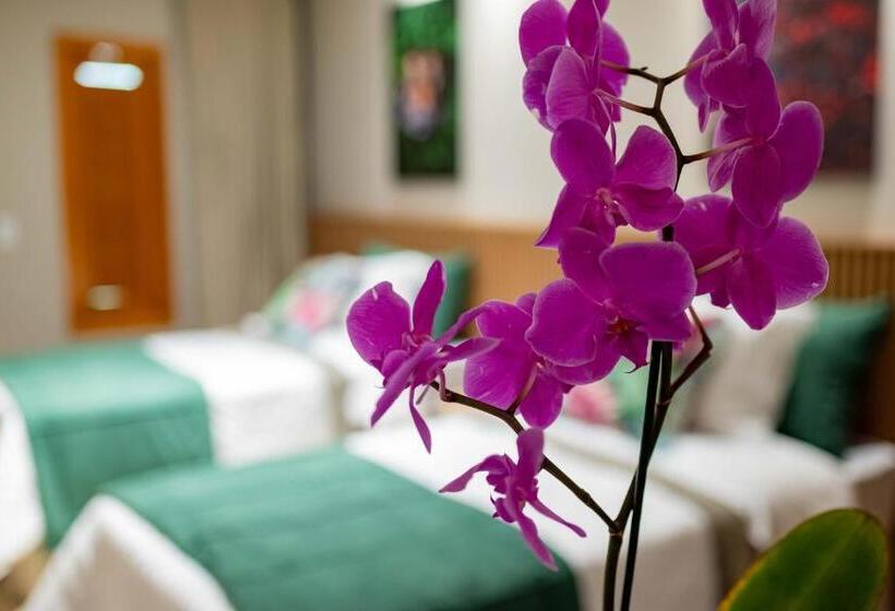 غرفة سوبيريور, Spa Agua Milagrosa