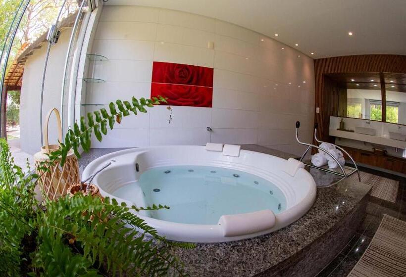 جناح مزود بجاكوزى, Spa Agua Milagrosa