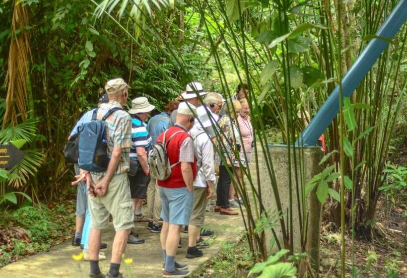 Четырехместный Номер Стандарт, Veragua Rainforest