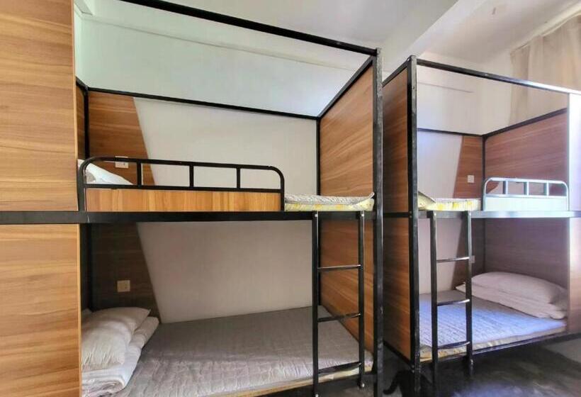 Yatak Paylaşımlı Oda, Meow! Marcia Youth Hostel