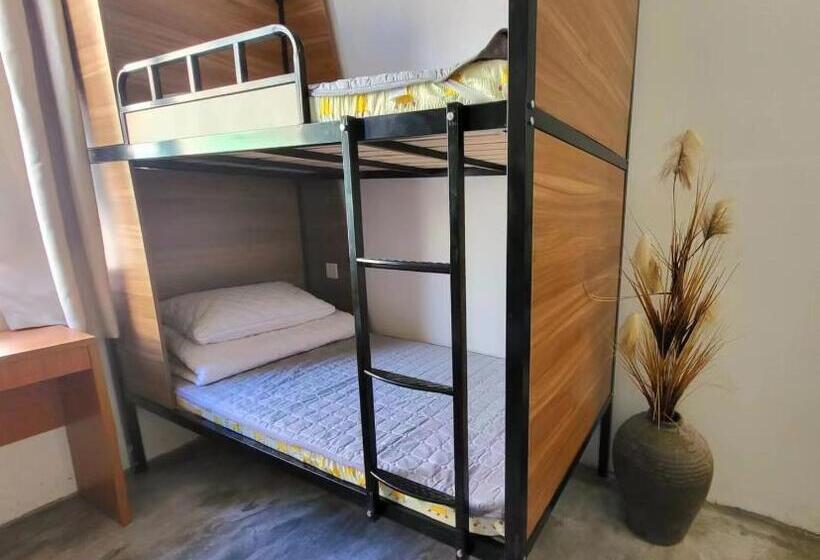 Yatak Paylaşımlı Oda, Meow! Marcia Youth Hostel