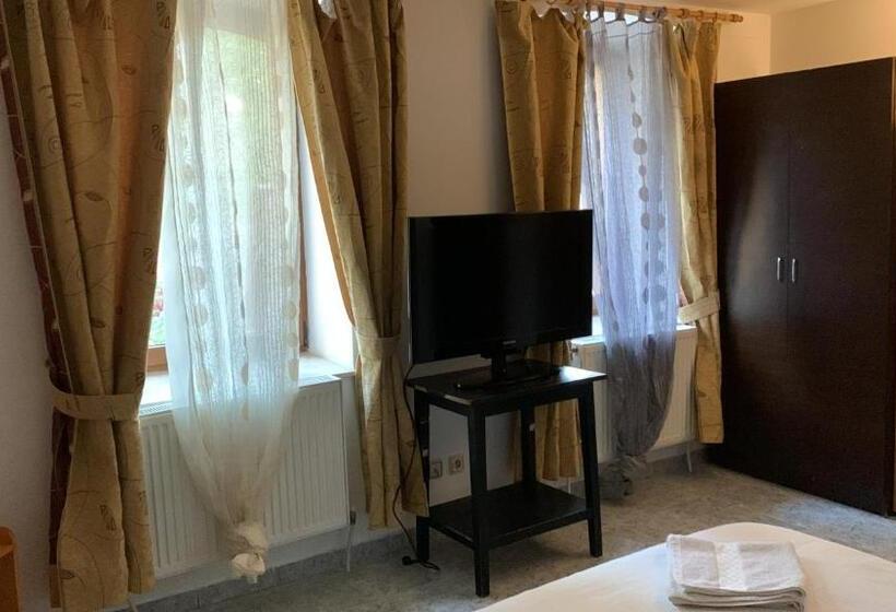 Номер Стандарт, Hypnotic Villa Predeal