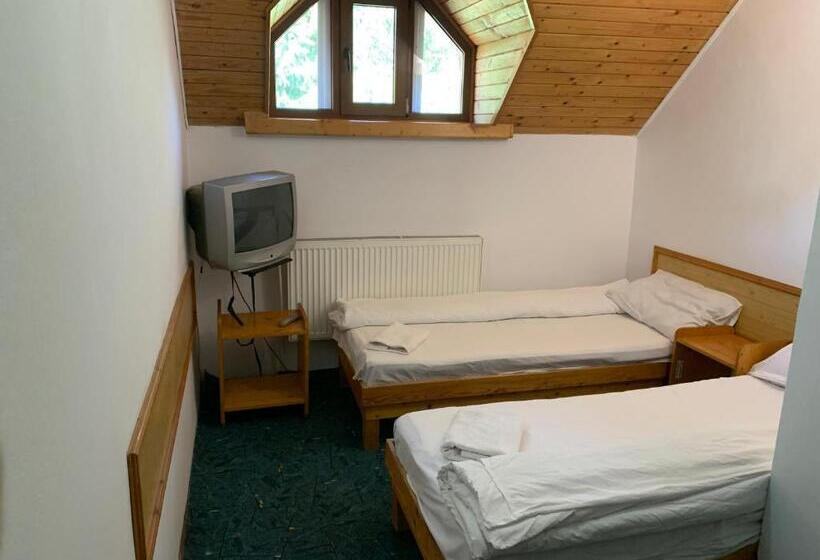 Номер Стандарт Совместная Ванная, Hypnotic Villa Predeal