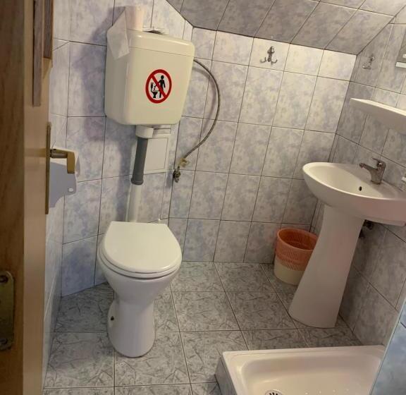 带共用浴室的标准房间, Hypnotic Villa Predeal