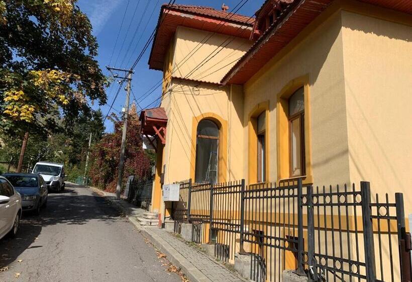 Номер Стандарт Совместная Ванная, Hypnotic Villa Predeal