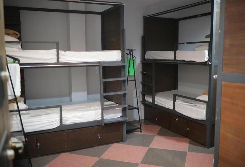 Pokój Rodzinny, Cerca