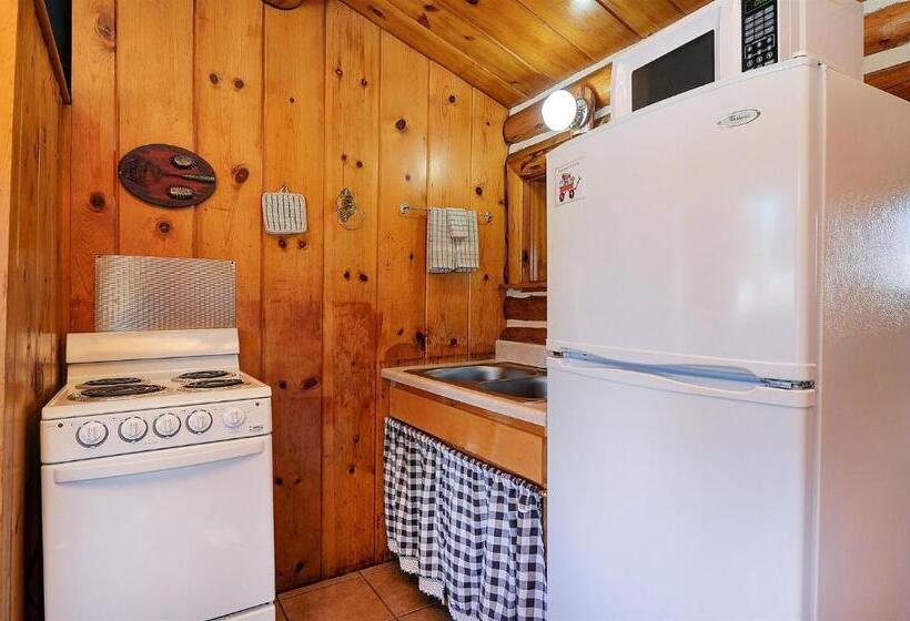 شاليه غرفة نوم واحدة, Vista Court Cabins & Lodge