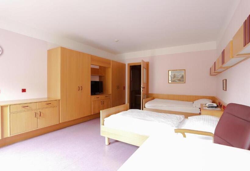 Standard-huone Terassi, öjab Waldpension