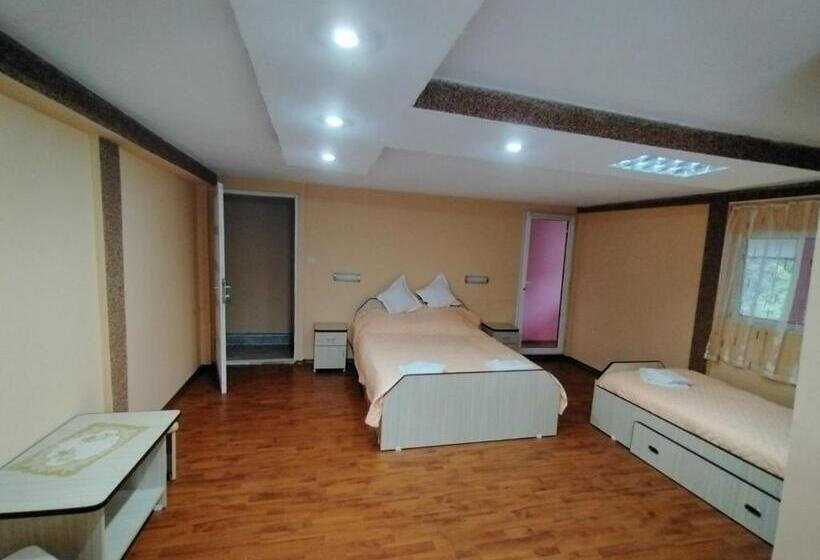 חדר סטנדרט לשלושה, Pensiunea Alessia