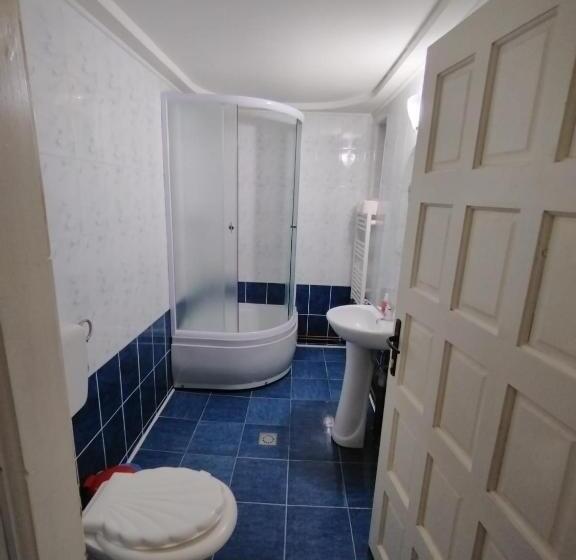 חדר סטנדרט לארבעה, Pensiunea Alessia