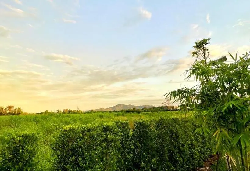 スーペリアファミリールーム, Baansuan Marigold บ้านสวนมาลีโกลด์