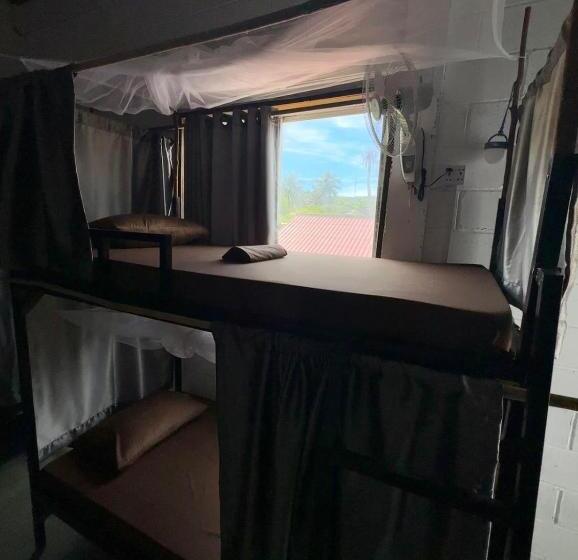 تختخواب در اتاق مشترک, Seashell Guesthouse, Bar And Tattoos