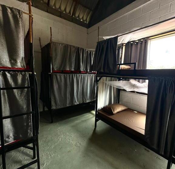 تختخواب در اتاق مشترک, Seashell Guesthouse, Bar And Tattoos