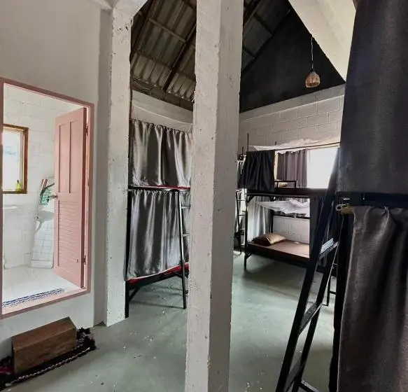 تختخواب در اتاق مشترک, Seashell Guesthouse, Bar And Tattoos