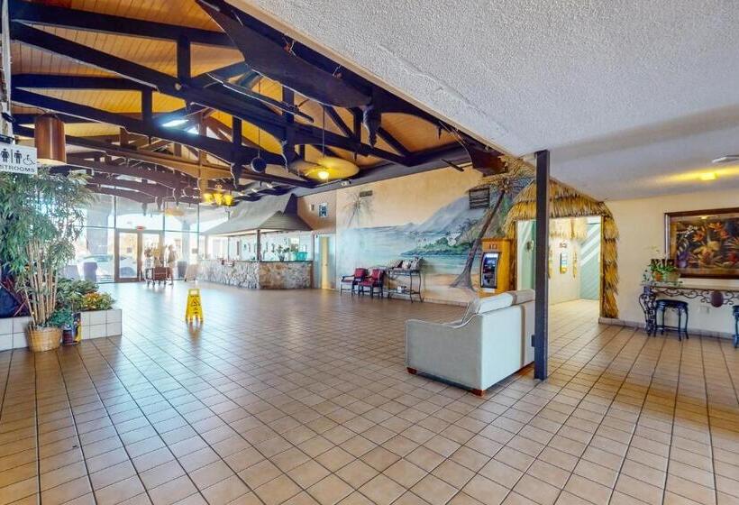 شقة غرفتين, Hawaiian Inn 431