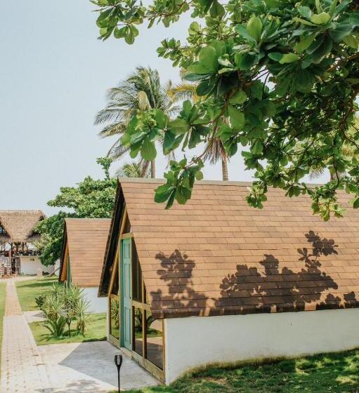 سوییت, Los Olivos La Playa Hotel Y Restaurante