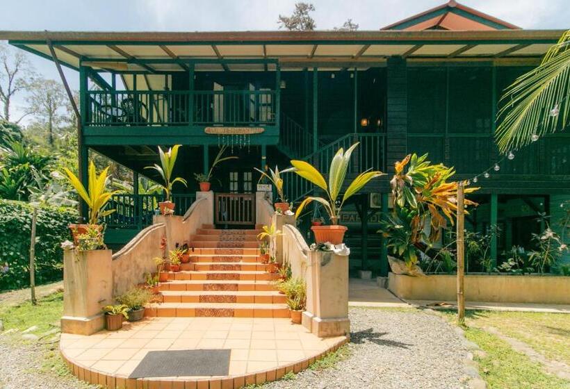 اتاق استاندارد با تخت بزرگ, Casa De Mono Bocas