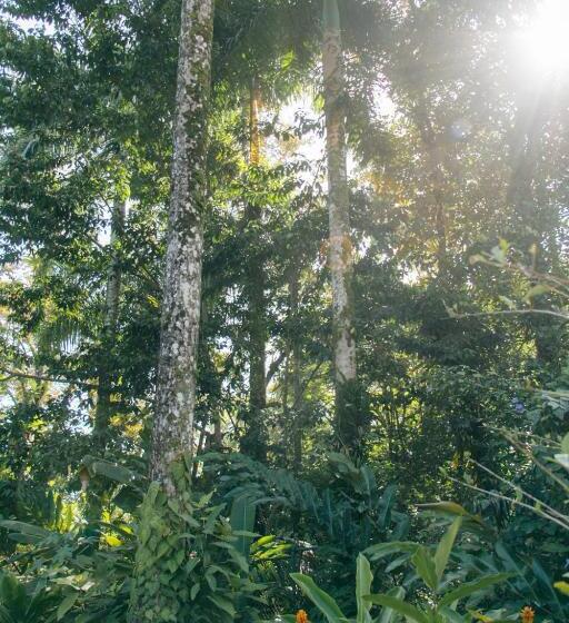 اتاق استاندارد با تخت بزرگ, Casa De Mono Bocas